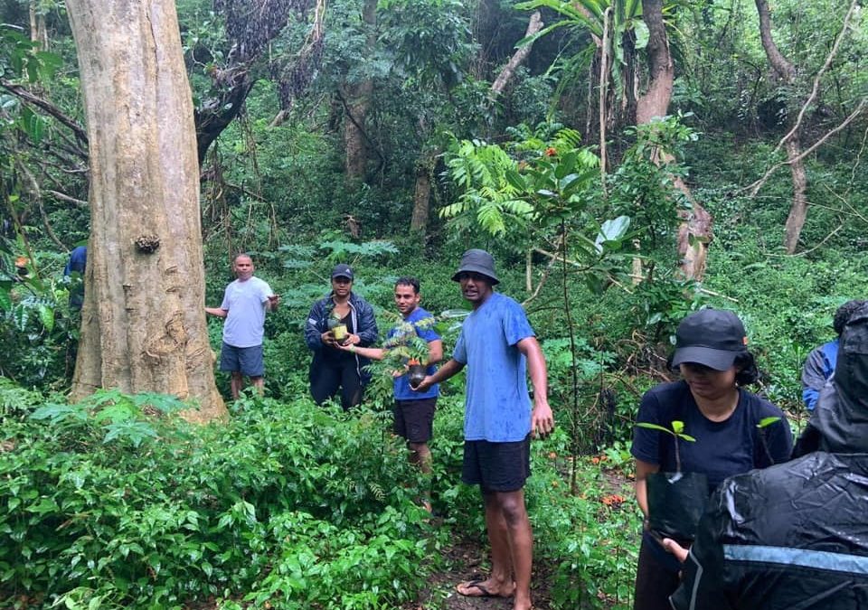 WWF Fiji Volunteers Help Out at Sigatoka Sand Dunes National Park