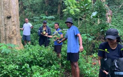 WWF Fiji Volunteers Help Out at Sigatoka Sand Dunes National Park